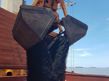 Coal